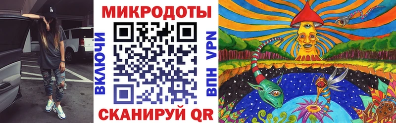 KRAKEN как войти  Лесной  Галлюциногенные грибы MAGIC MUSHROOMS  купить наркотики цена 